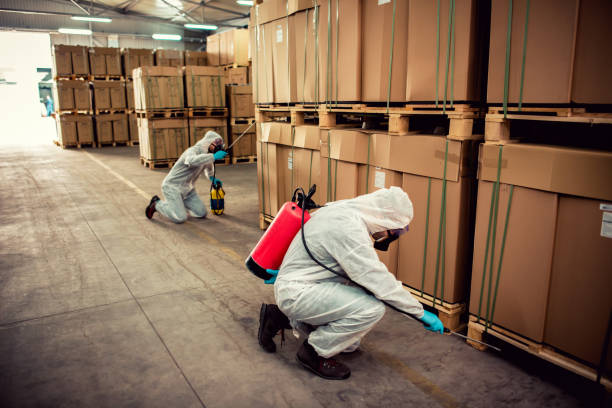 Best Bed Bug Extermination  in Bremen, GA