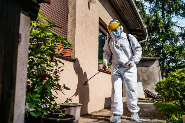 Best Mosquito Control Services  in Bremen, GA