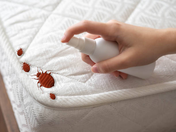 Best Cockroach Control Services  in Bremen, GA