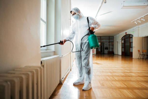 Best Pest Prevention Services  in Bremen, GA