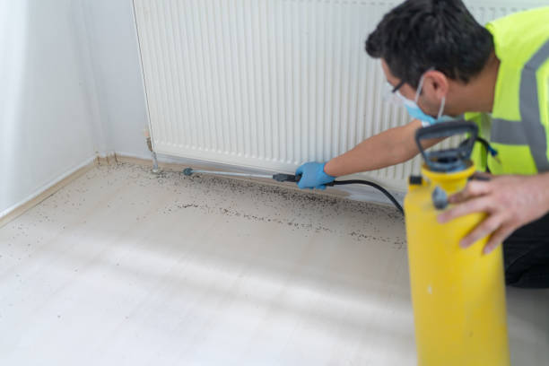 Best Pest Prevention Services  in Bremen, GA
