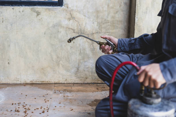 Best Best Pest Control Companies  in Bremen, GA
